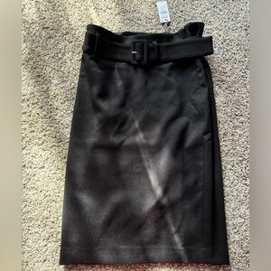 Express pencil skirt